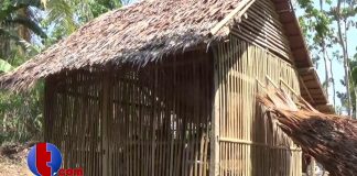 Sekolah Di Pandeglang Mirip Kandang Ayam