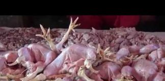 Daging Ayam Mahal, Ceker Ayam Laris Manis