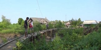 Dispar Pandeglang Siap Bantu Dampingi Pengembangan Wisata Mangrove