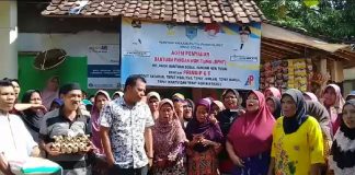Bawaslu Pandeglang Akan Panggil Kades Palurahan dan Mandalasari Terkait Dugaan Politisasi Program Bansos