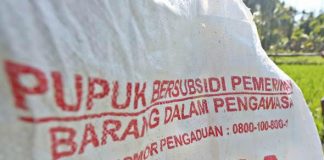 Stok Pupuk Bersubsidi Minim, Dinas Pertanian Imbau Petani Cerdas Gunakan Pupuk Organik