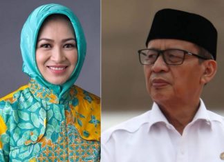Airin Vs WH di Pilgub Banten, Ini Kata Pengamat