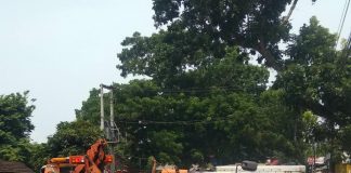 Mobil Box Isuzu Alami Laka Tunggal di Pandeglang