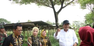 Tinjau Lokasi Pasar Baros Sementara, Wabup Serang Pastikan Siap Digunakan