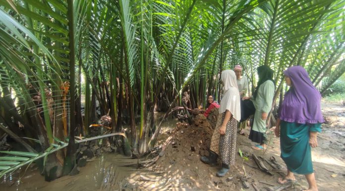 Potensi Berlimpah, YAIL Latih Emak-emak Olah Nipah Jadi Gula