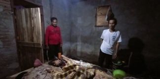 Miris, Warga Rangkasbitung Terkapar Bertahun-Tahun dan Tinggal di Rumah Tidak Layak Huni