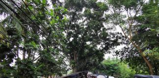 Akibat Sopir Mengantuk, Truk Bermuatan Ribuan Galon Air Mineral Terguling di Pandeglang