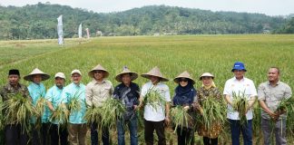 Pemerintah Malaysia Belajar Pertanian ke Kabupaten Serang