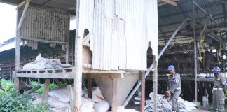 Satpol PP Kabupaten Serang Bongkar Peternakan Ayam di Cikeusal