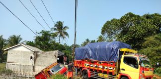 Tak Kuat Menanjak, Truk Bermuatan Serbuk Kayu Gergaji di Pandeglang Terjun Ke Sawah