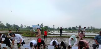 Mentan Inginkan Petani di Pandeglang Tanam Padi Tiga Hingga Empat Kali Dalam Setahun
