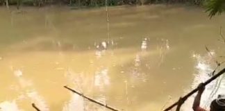 Jasad Korban Diterkam Buaya di Pandeglang Ditemukan
