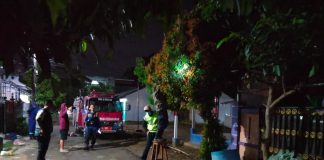 Meresahkan Warga, TRC BPBD-PK Pandeglang Evakuasi Sarang Tawon