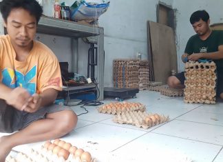 Harga Telur Mahal, Pembeli Berburu Telur Pecah di Pasar