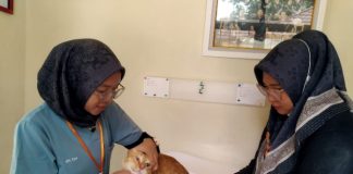 Libur Panjang, Layanan Call Center Puskeswan Pandeglang Tetap Aktif