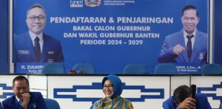 Daftar Calon Gubernur Banten, Airin Dapat Pujian Petinggi PAN Banten