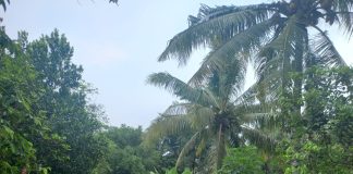 Warga Kota Serang Keluhkan Jalan Rusak, Pj. Walikota: “Kita Usahakan Perawatan Maksimal”