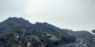 Diduga Jadi Penyebab Air Laut Menghitam PT RGM Bojonegara Disidak KLHK