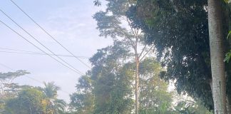 Bahu Jalan AMD Lintas Timur Longsor, Kasat Lantas Pandeglang : Pengguna Jalan Harus Hati-hati