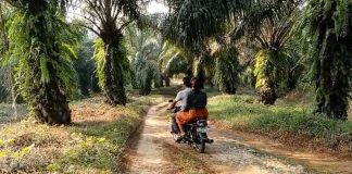 Kesal Jalan Rusak Bertahun-tahun, Kades Bersama Warga Jayamanik Datangi PTPN