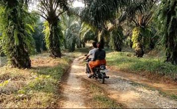 Kesal Jalan Rusak Bertahun-tahun, Kades Bersama Warga Jayamanik Datangi PTPN