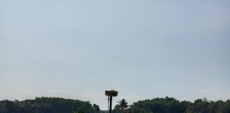 BPN Pandeglang Kebut Program Sertifikasi Tanah Lintor Pertanian