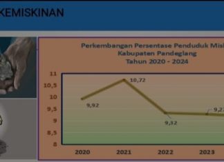 Tahun 2024, BPS Mencatat Angka Kemiskinan di Pandeglang Turun