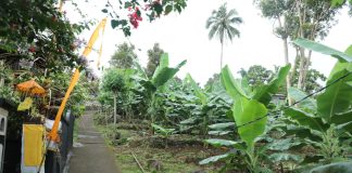 Perjalanan Reforma Agraria di Asahduren, Sertipikat Tanah Ulayat Buka Akses Ekonomi Masyarakat