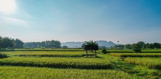 Kementerian ATR/BPN Pastikan Tata Ruang Menjadi Kunci Utama untuk Mendukung Program Prioritas Presiden Prabowo