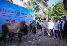 Serahkan Hewan Kurban ke Ponpes Darunnajah, Menteri Nusron: Iduladha Jadi Momentum Mempererat Kebersamaan