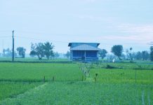 Mengenal Asas Kontradiktur Delimitasi, Kunci Kepastian Batas Bidang Tanah