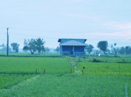 Mengenal Asas Kontradiktur Delimitasi, Kunci Kepastian Batas Bidang Tanah