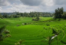 Lampaui Target, LP2B Capai 87,63% di Momen Peringatan 66 Tahun UUPA